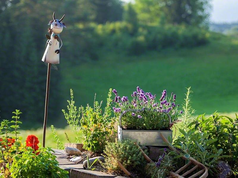Séjour à la ferme Roislerlehen *