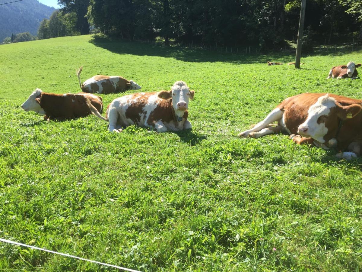 Roislerlehen